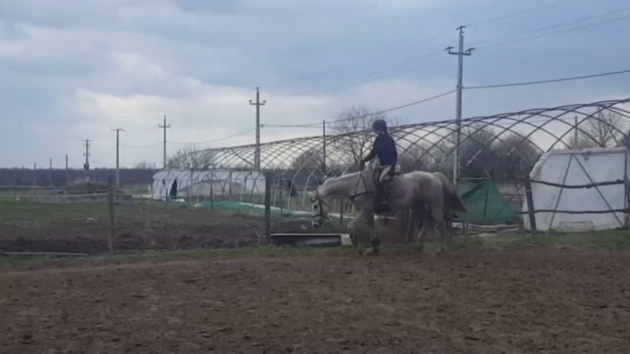 Cassandra training (sz&aacute;rra lovagl&aacute;s sz&aacute;r n&eacute;lk&uuml;l) ;)