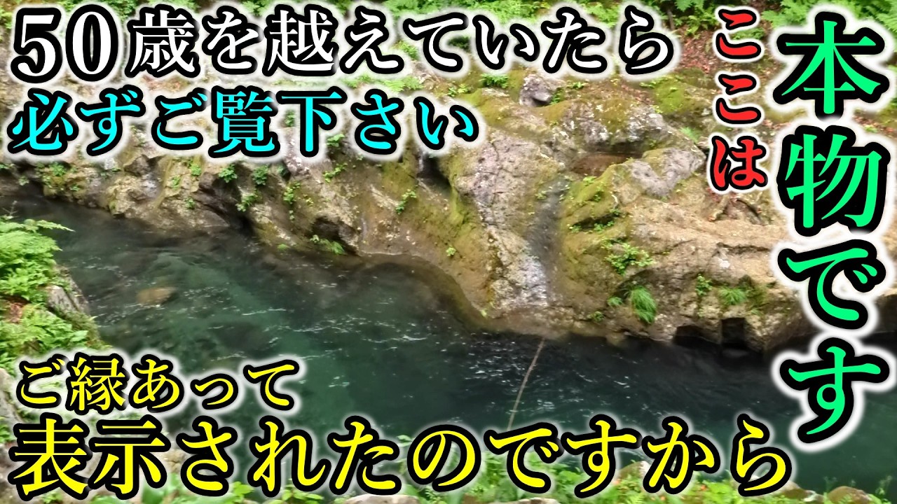 ⚠️50歳以上なら必ずご参拝下さい。八百万の神々が集う神社【宮崎県西臼杵郡高千穂町岩戸 天安河原】