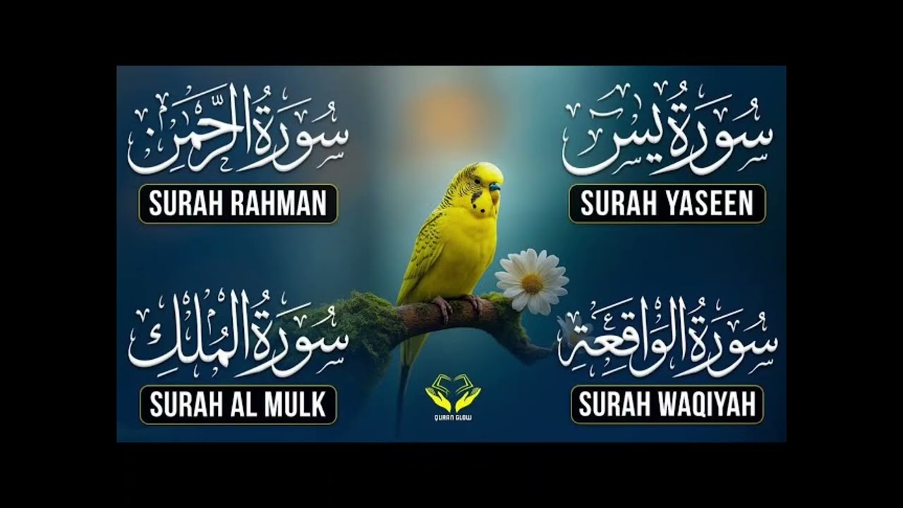 Surah Yasin | Surah Ar-Rahman | Surah Waqiah | Surah Mulk Full Tilawat | by Sheikh Muzammil Nadwi 