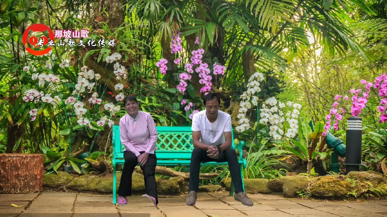 Tiếng hát lượn lâu lắm mới gặp lại em❤️❤️💯