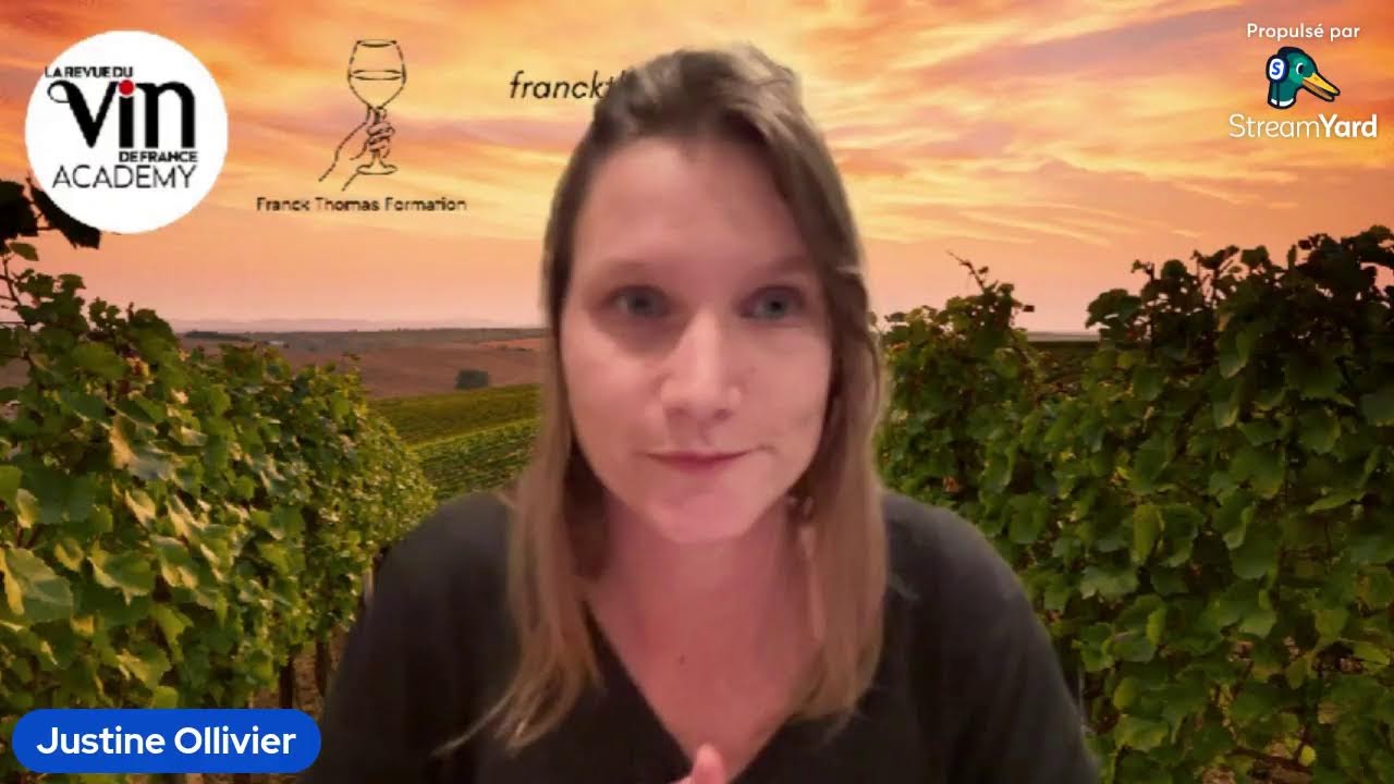 Les métiers de conseils en vin : sommelier, caviste et commercial.