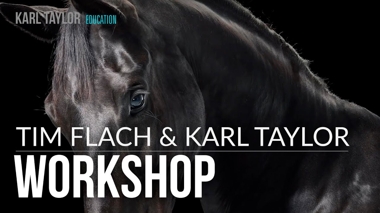 Photography Workshop with Tim Flach & Karl Taylor