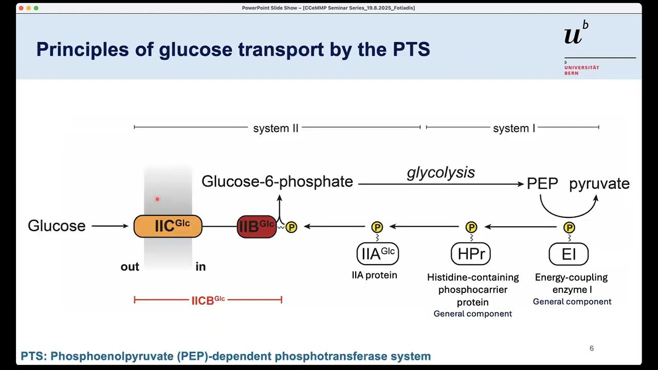 Structural & mechanistic insights into transmembrane glucose transport & light-driven proton pumping