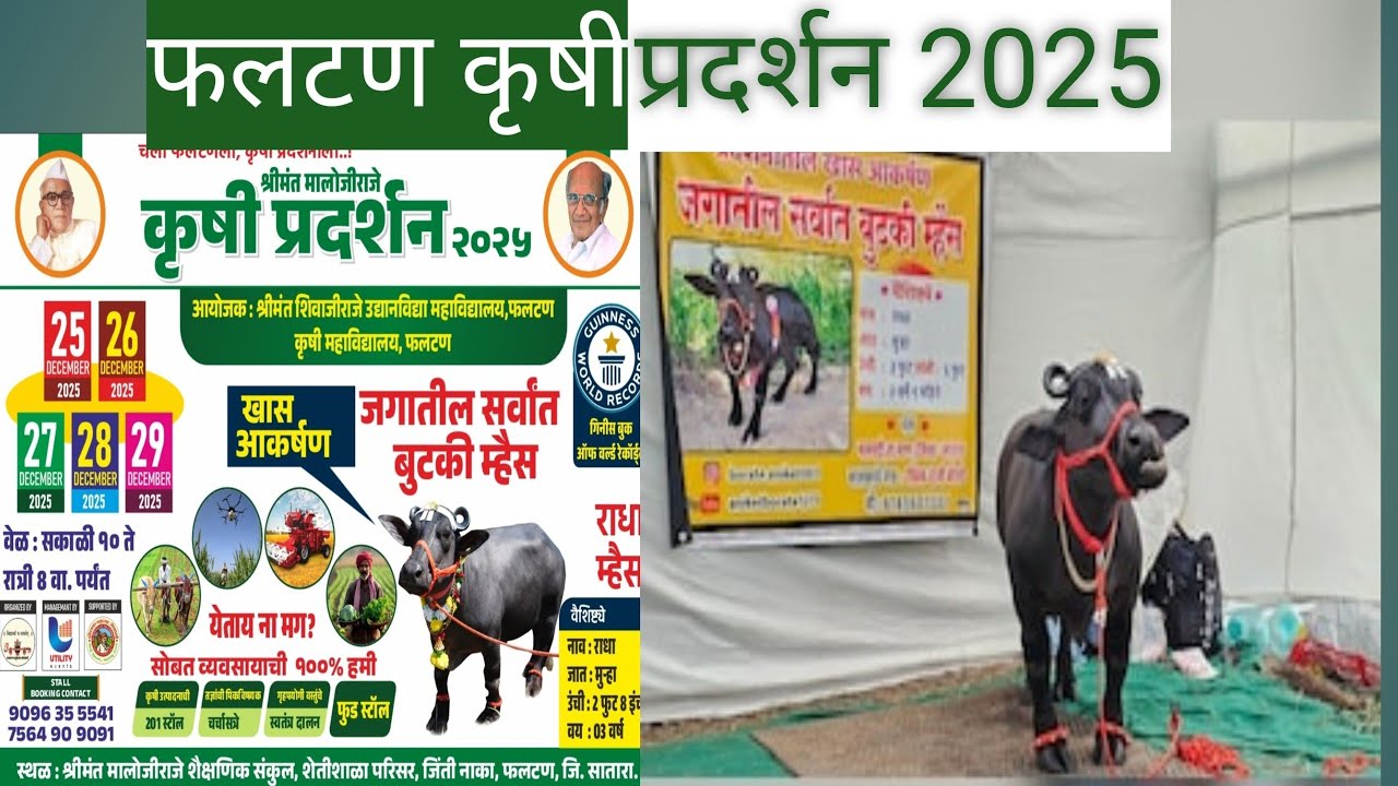 मालोजी राजे कृषी प्रदर्शन 2025 फलटण
