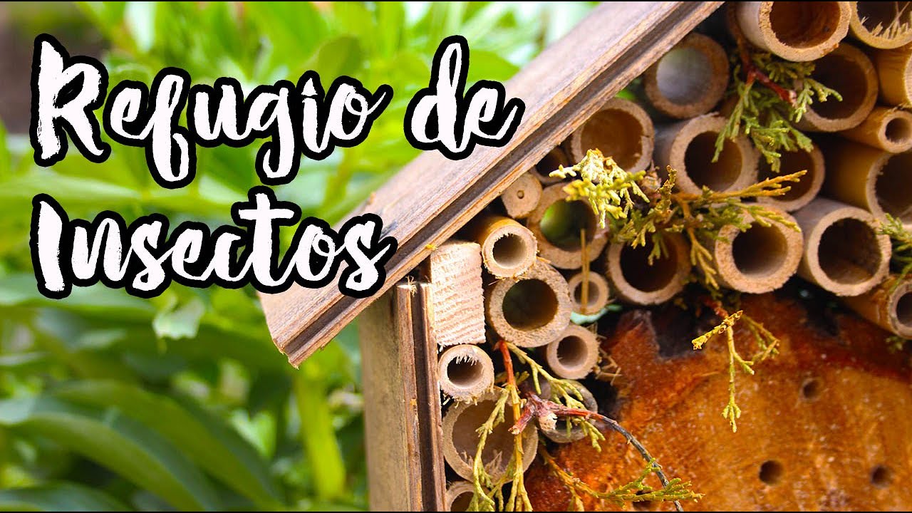 Como HACER y BENEFICIOS De Un HOTEL o REFUGIO De INSECTOS En Tu Huerto (Biodiversidad De Insectos)