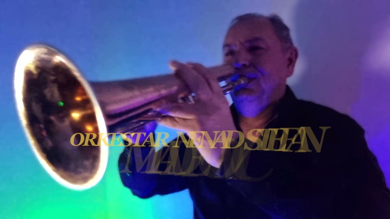 NENAD STEFAN MLADENOVIC NISOVACKO MERAKO 2026
