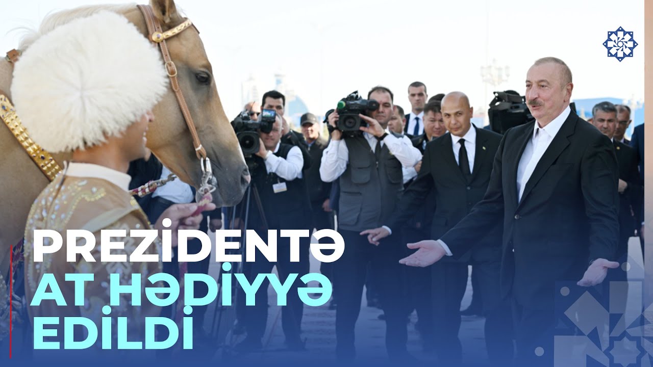 Azərbaycan Prezidenti İlham Əliyevə “Axaltəkə” atı hədiyyə edilib