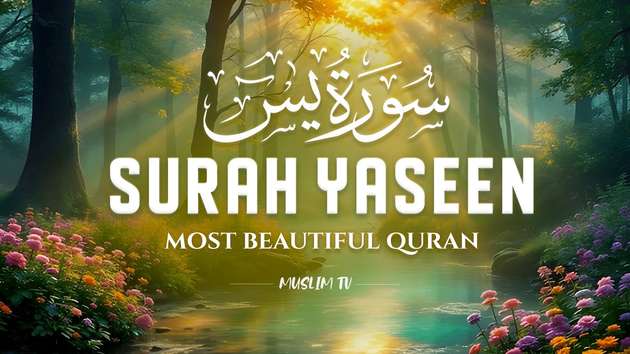 Surah Yaseen (سورة يس) | Heart-Touching & Relaxing Quran Recitation for Inner Healing #yasin