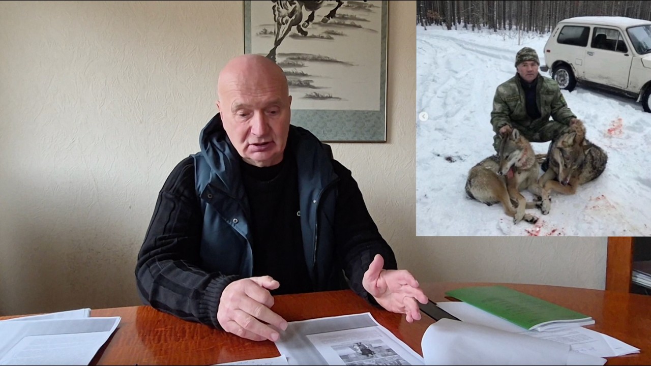 Видова нетерпимість: хто і чому оголошує тварин ворогами?