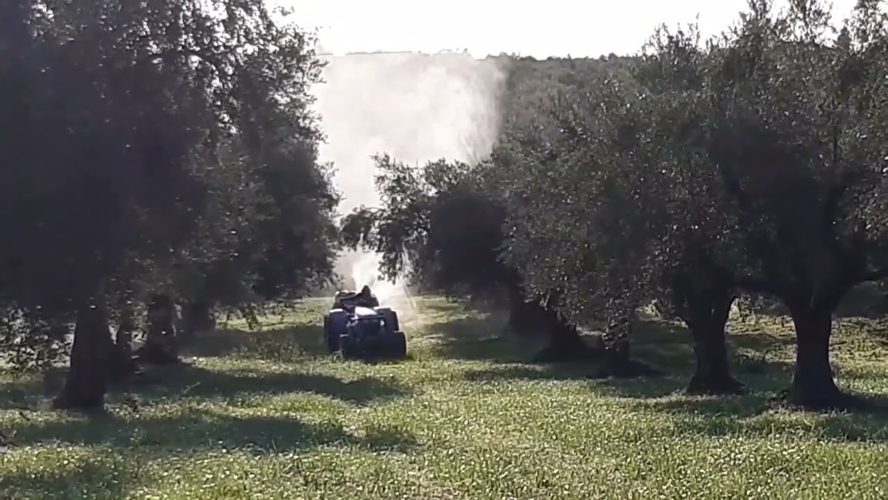 ΜΕΤΑ ΑΠΟ ΑΥΤΟ ΟΛΟΙ ΘΑ ΨΕΚΑΖΕΤΕ ΜΕ ΑΥΤΟΝ ΤΟΝ ΤΡΟΠΟ!!