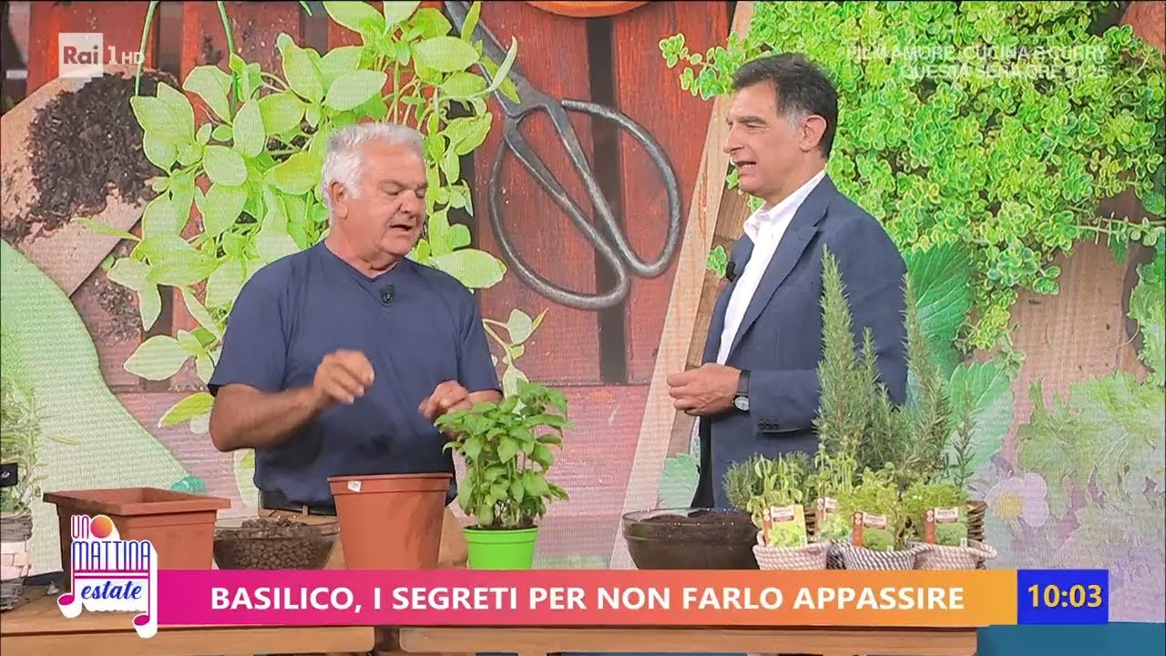 Le proprietà benefiche delle erbe aromatiche - Unomattina Estate 19/07/2023