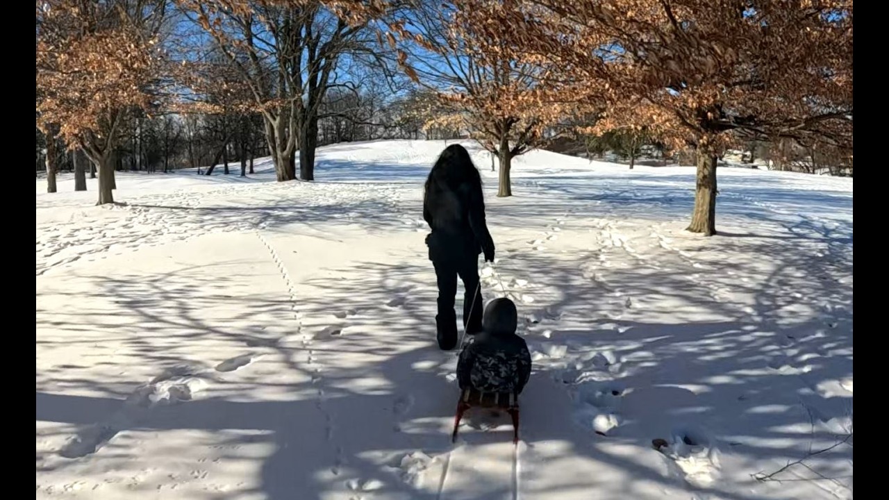 Sledn with Grankids
