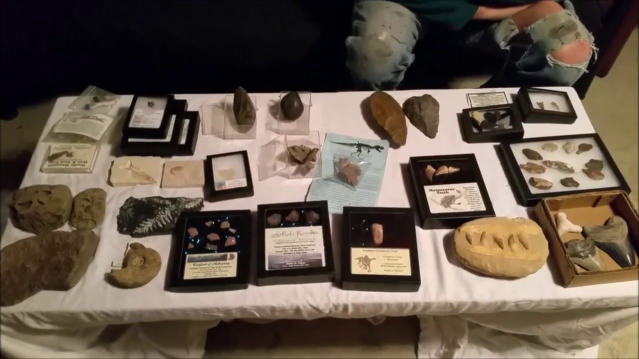 My Dad's Historical Collection - Fossils, Neandethals, and Space Rocks