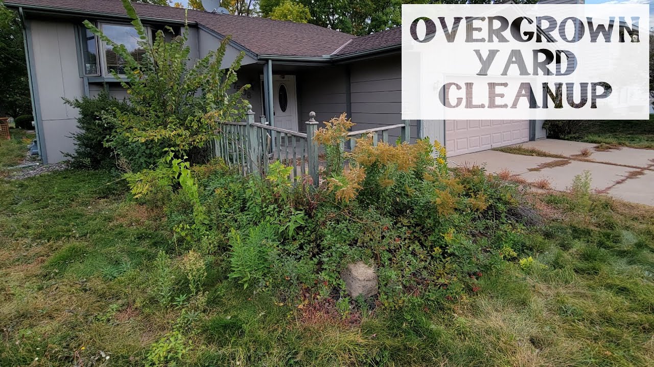 Overgrown Yard Cleanup | Overhaul With Equipment | Time-Lapse | 4K | Satisfying Before & After