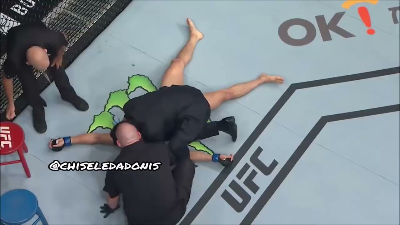 Craziest Slam Knockouts In MMA History...