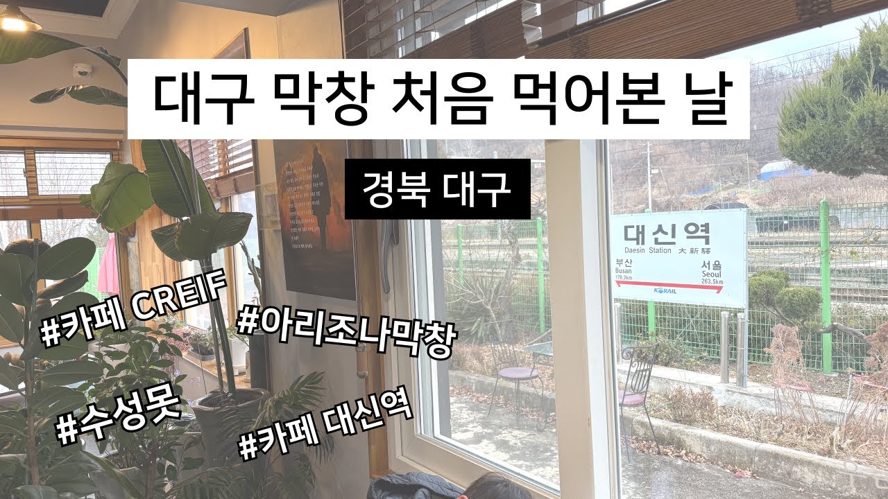국내 여행 | 경북 대구 | #CREIF #아리조나막창 #수성못 #카페대신역