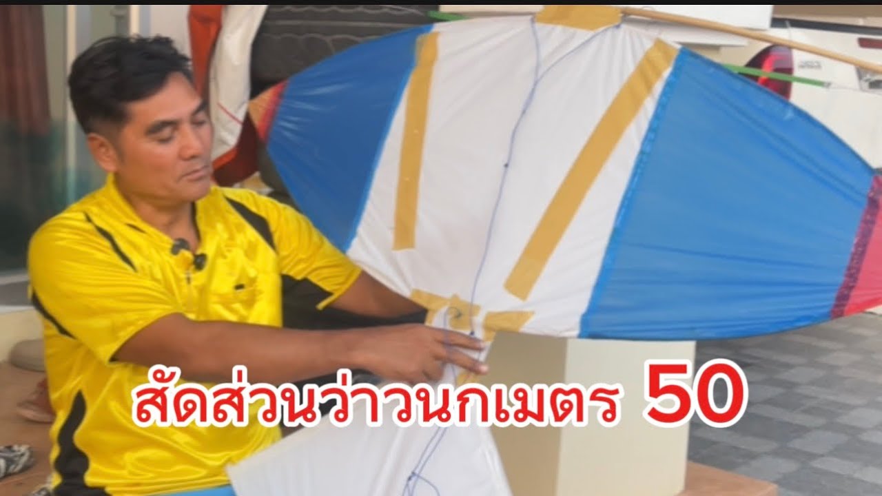 มาบอกสัดส่วนว่าวนกเมตร50