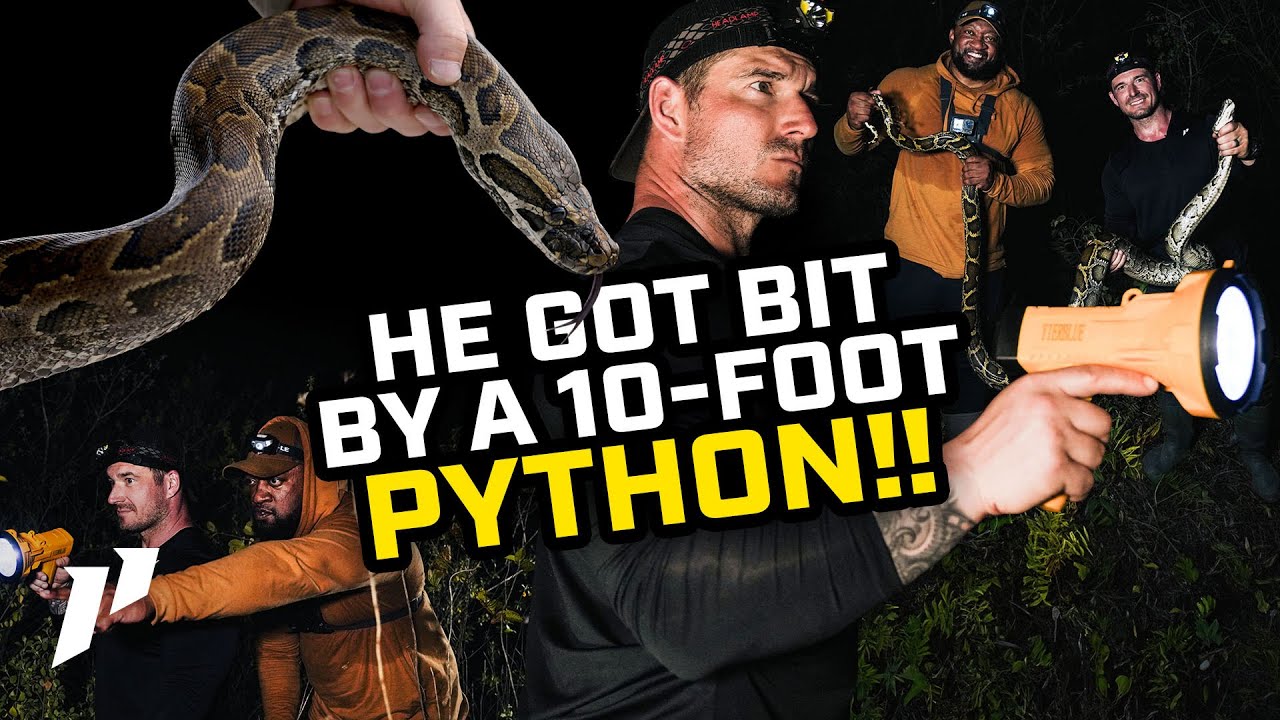 Catching MONSTER Pythons With The Python Cowboy