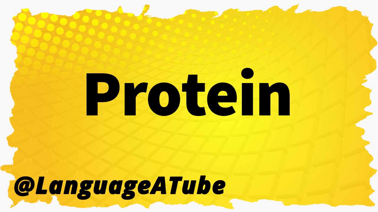 Protein Pronunciation ⚡️ How To Pronounce Protein!