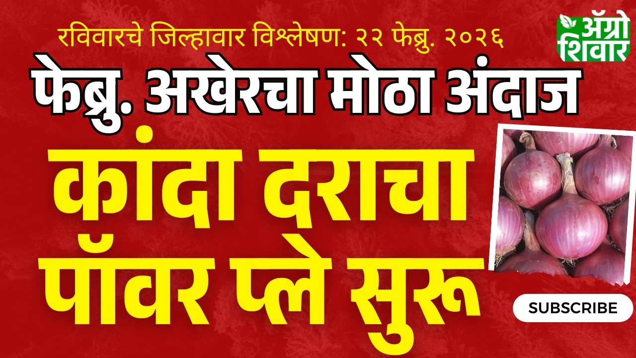 kanda bajar bhav | कांदा बाजार भावाचा पॉवरप्ले सुरू; फेब्रुवारी अखेरचा मोठा अंदाज