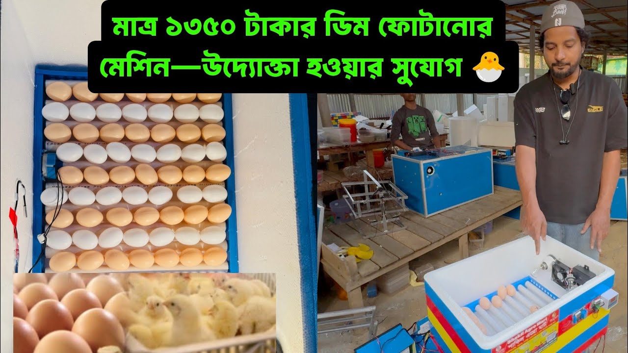 মাত্র ১৩৫০ টাকার ডিম ফোটানোর মেশিন—উদ্যোক্তা হওয়ার সুযোগ 🐣