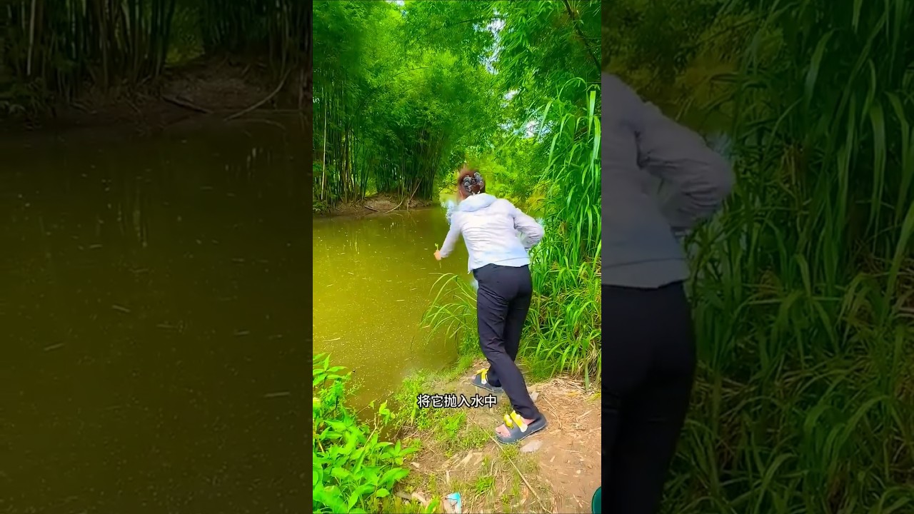 Hook Fishing for Big Snakehead Fish 🐍 | Traditional Pond & Rural Fishing Tips #snakeheadfishing