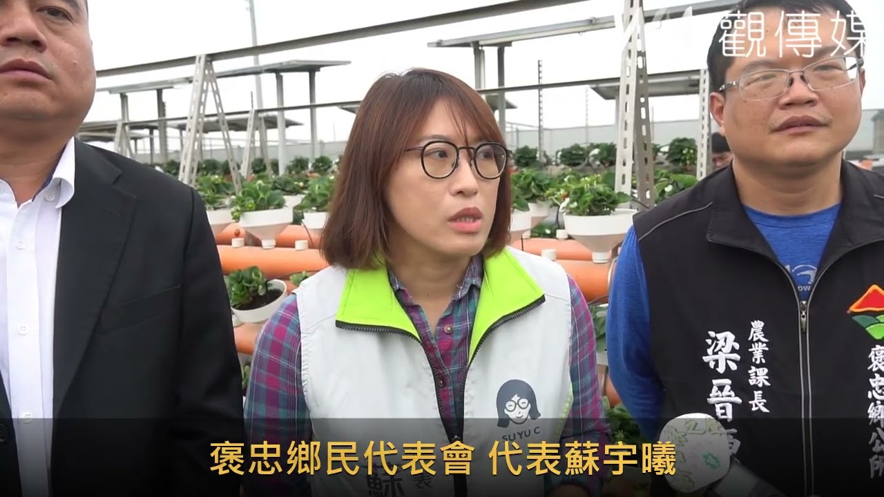 循環農業魚菜共生再升級　褒忠深水系統草莓成果亮相