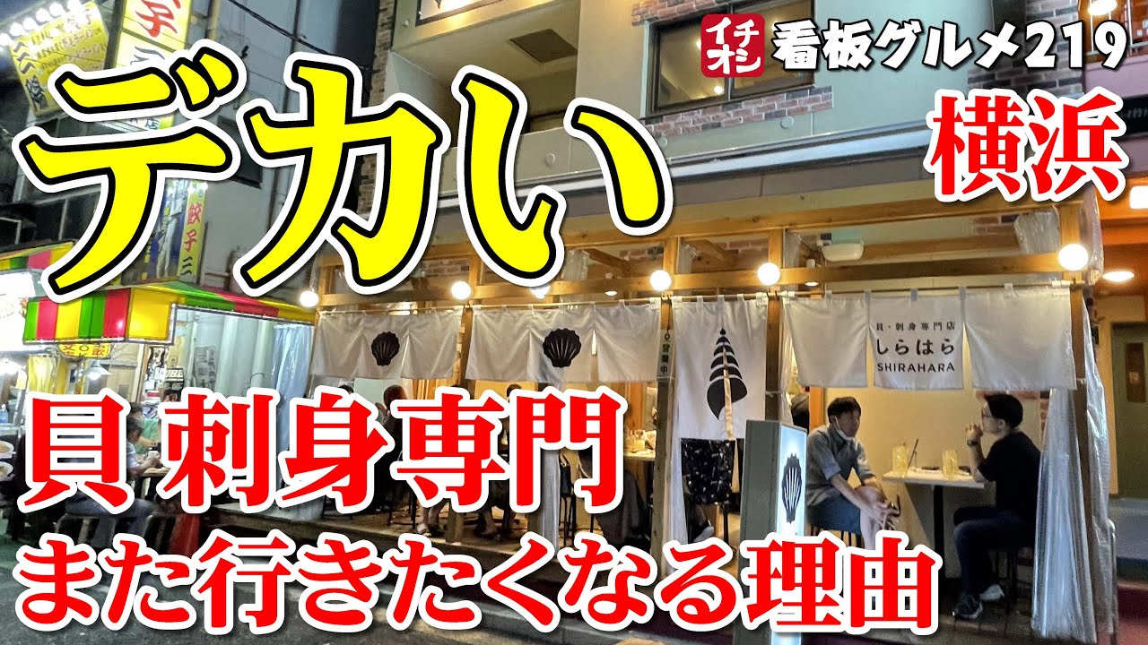 【横浜グルメ】貝好きにおススメしたい！ 貝・刺身専門店しらはらの魅力  ／ 野毛 イチオシ看板グルメ119 （飲食店応援８１８本目動画）