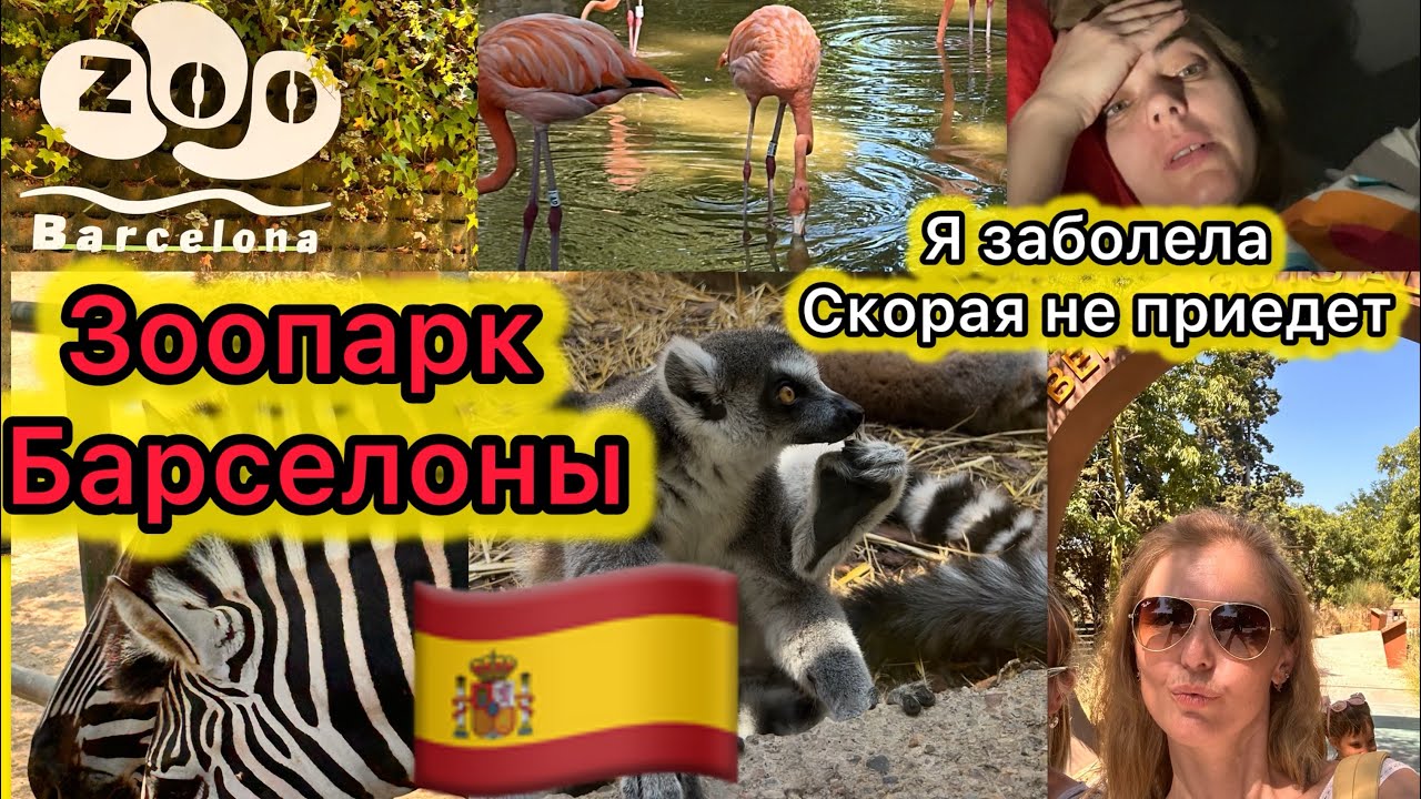 VLOG Честный влог. Живу в Испании. Болею. Медицина - так себе.