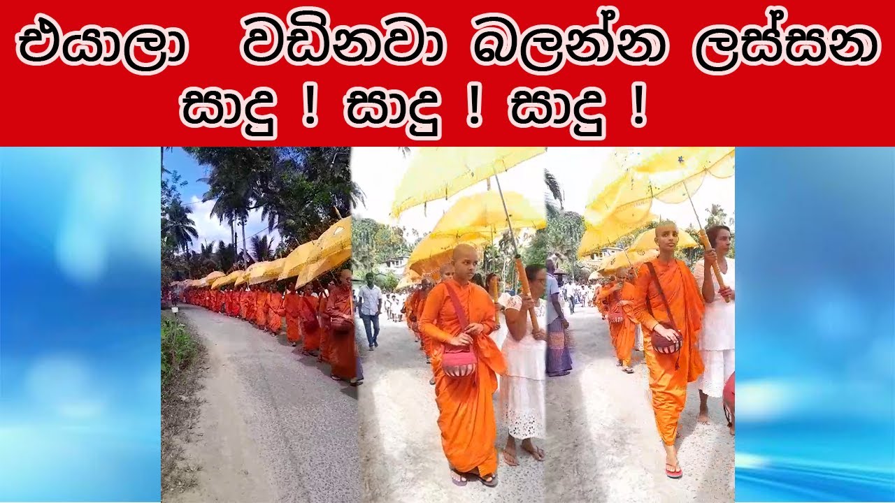 එයාලා  වඩිනවා බලන්න ලස්සන සාදු ! සාදු ! සාදු !  🙏🙏🙏🙏