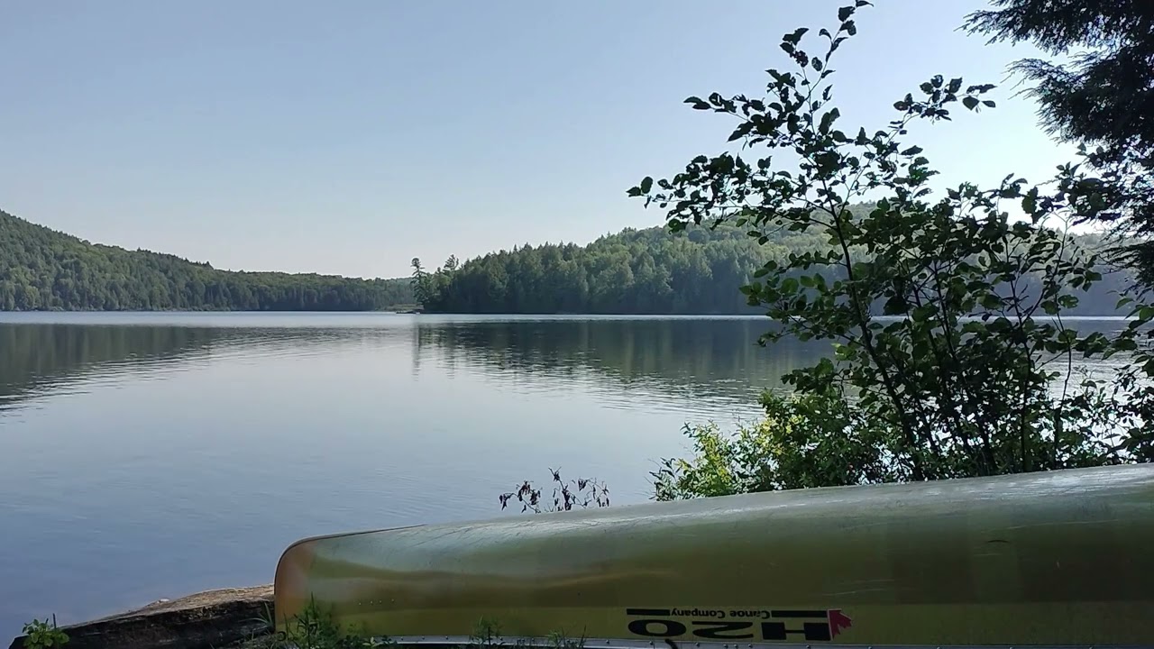 Algonquin Park Peaceful Lake #algonquinpark #ambient #nature #camping #relaxingsounds #healingmusic