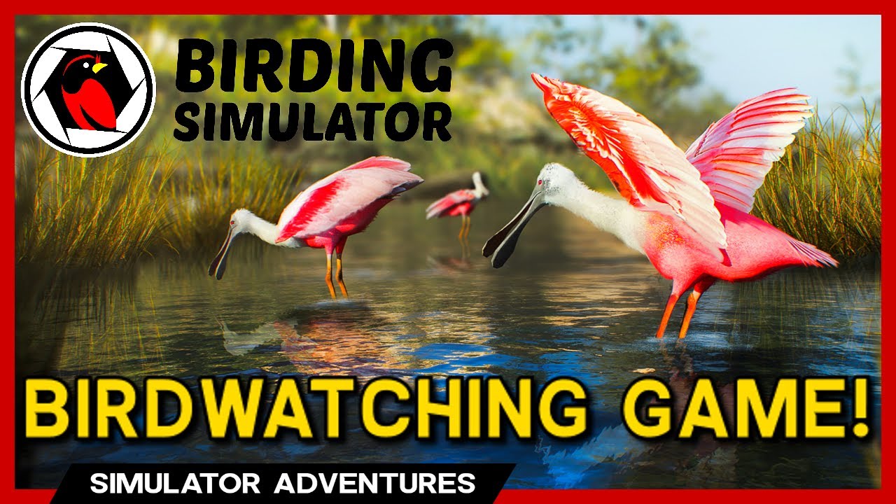 Birding Simulator is a real game?!?