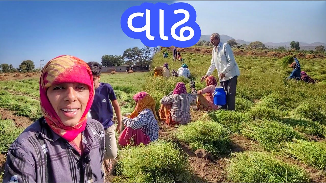 Paki Gya | 18 Manso | Cha upr Cha | JSK Life #234