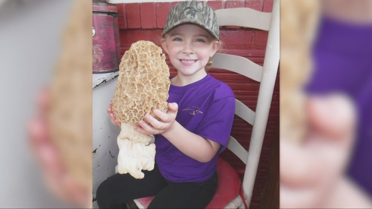 5-year-old girl from Upshur County harvests massive Morel Mushroom