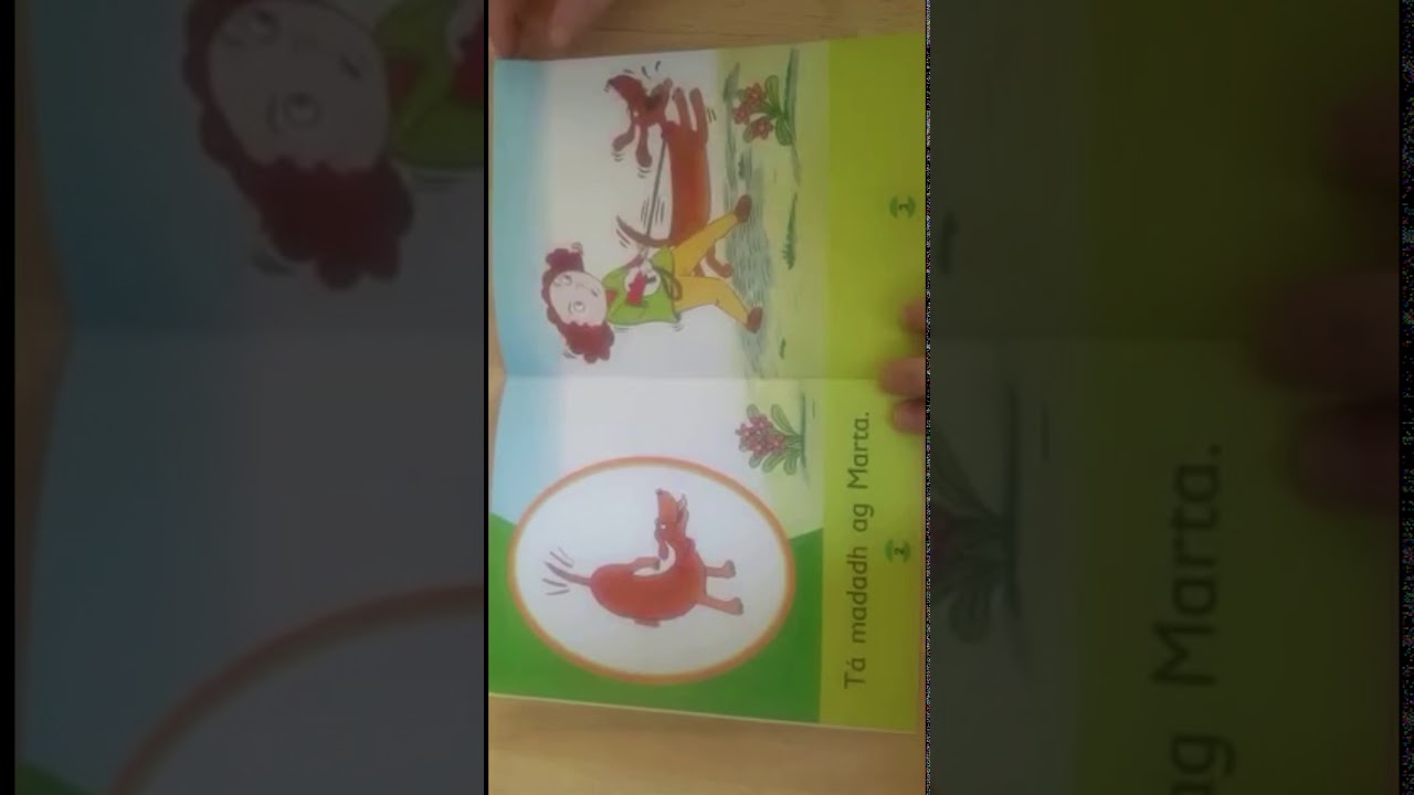 Na peata&iacute;
