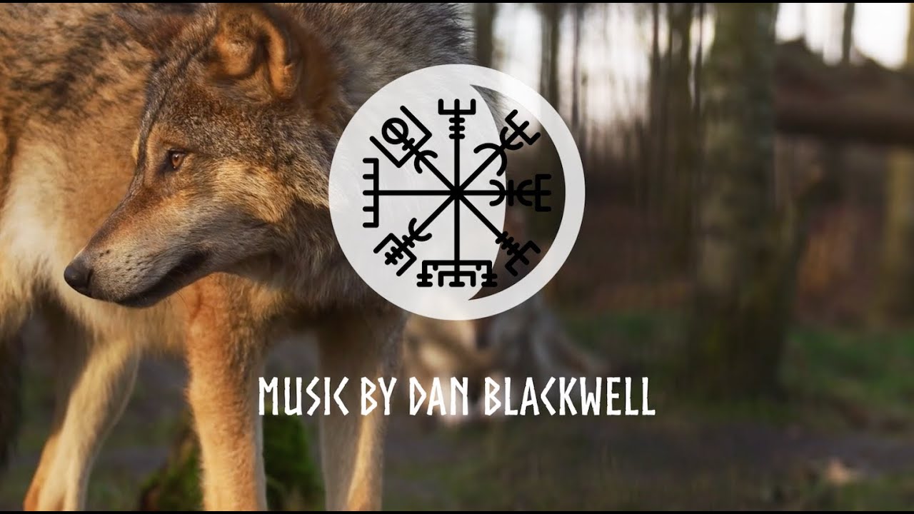 Epic Viking Music: Relaxing Nordic Soundscapes for Study & Meditation