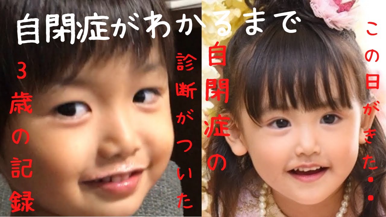 【自閉症がわかるまで】自閉症と知的障害と言われた3歳の記録・定型発達の妹との成長の違い