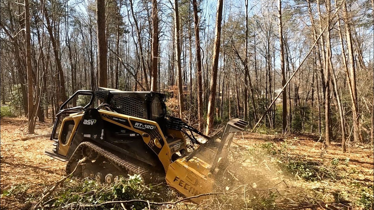 Cleaning up Dead Pine Trees | Part One