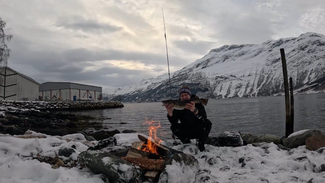Catch And Cook Atlantic Cod | Hardangerfjord |