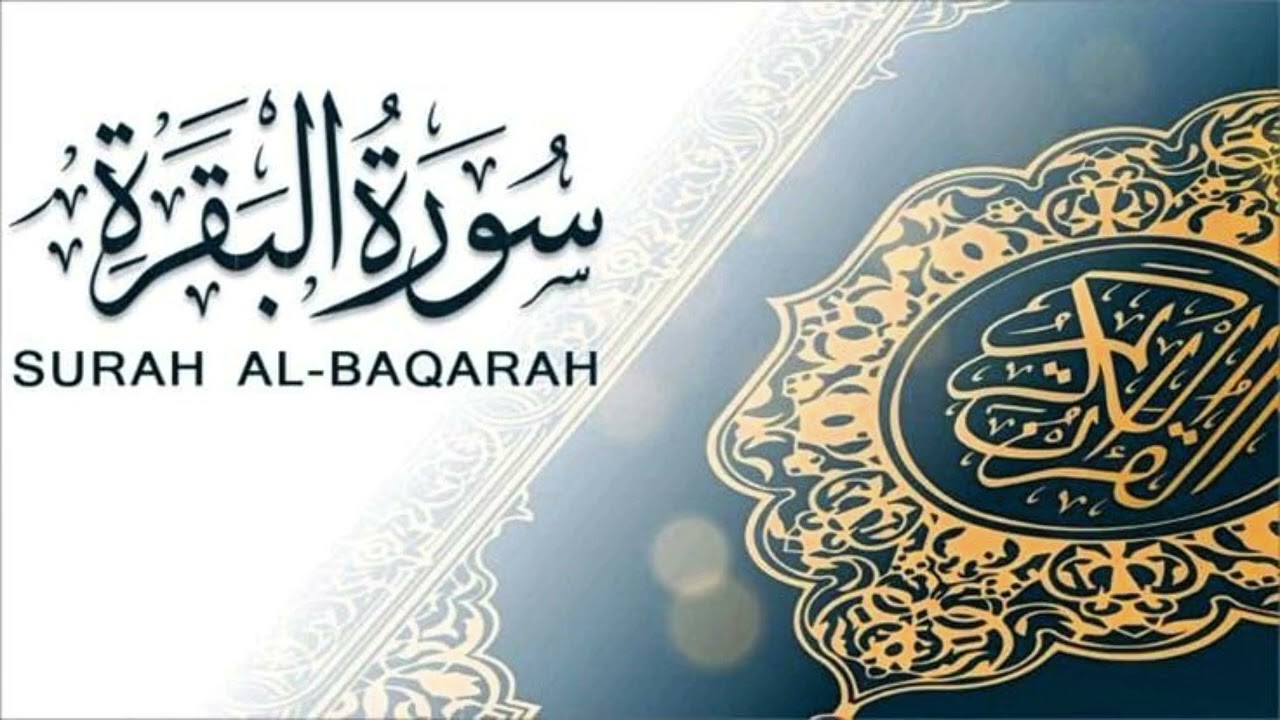 ​سورة البقرة بنبرة ملكوتية خاشعة.. 10 دقائق من الطمأنينة (إصدار حصري 2026)