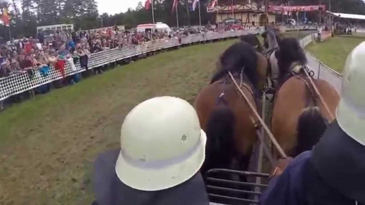 Titanen der Rennbahn 2015 * Umlaufrennen *