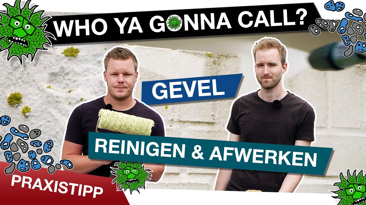 Gevels reinigen: Doei groene krengen!