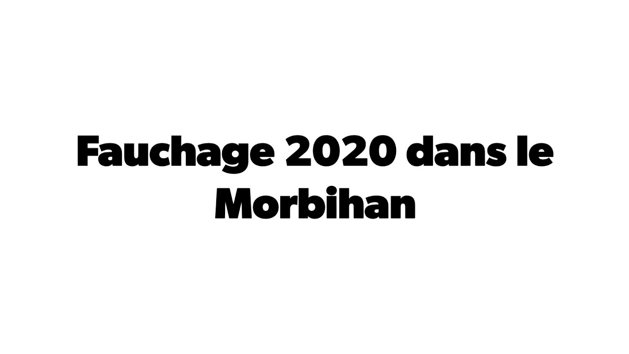 Fauchage  2020 dans le Morbihan chez l'EARL Robic   avec fendt  512 + barre de coupe Khun