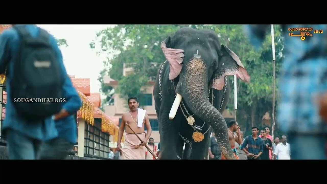COUNT DOWN STARTING.........|SREE KRISHNA SWAMY TEMPLE PROMO-2022|MUKHATHALA POORAM|#Sougandhvlogs