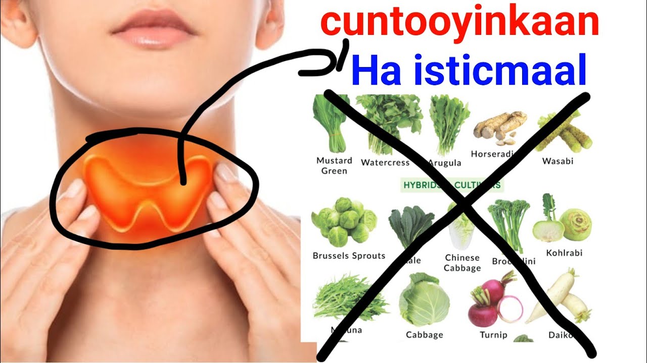 Tayrootka dhacsan Cuntooyinkaaan iska ilaali 🚫 kuwaaana isticmaal Raac Tilmaamaha Dr-Timajilac ✅