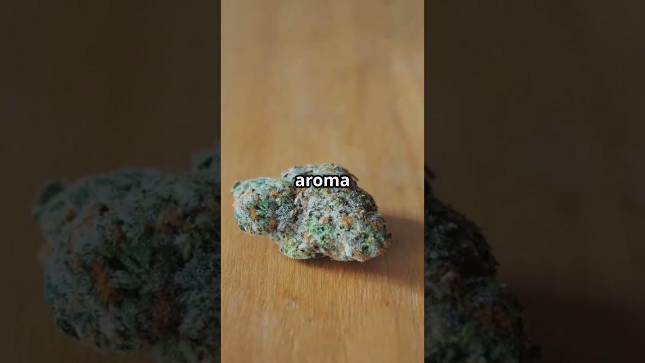 Afghan Kush: A Trippy Journey! #ecg #afghankush