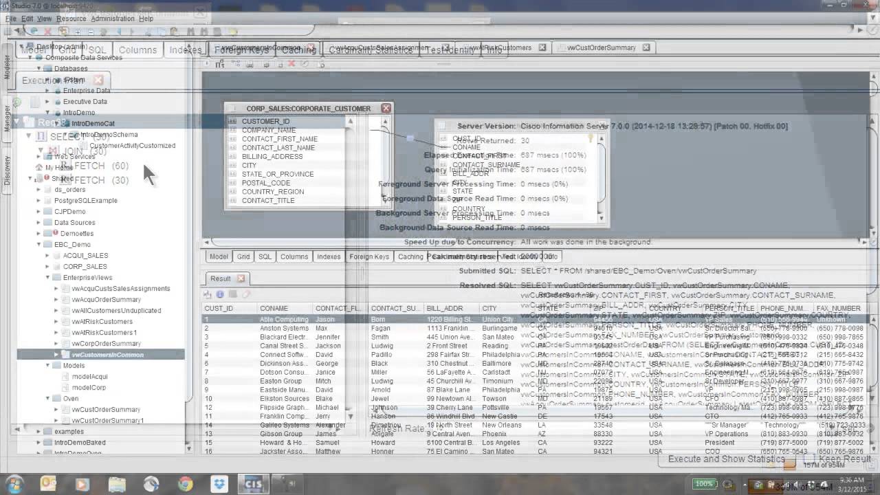 Data Virtualization - Cisco Information Server Overview Demo