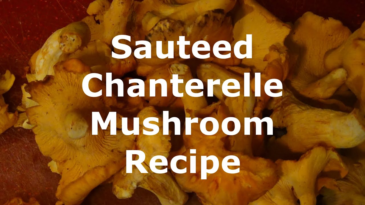 Sauteed Chanterelle Mushroom Recipe