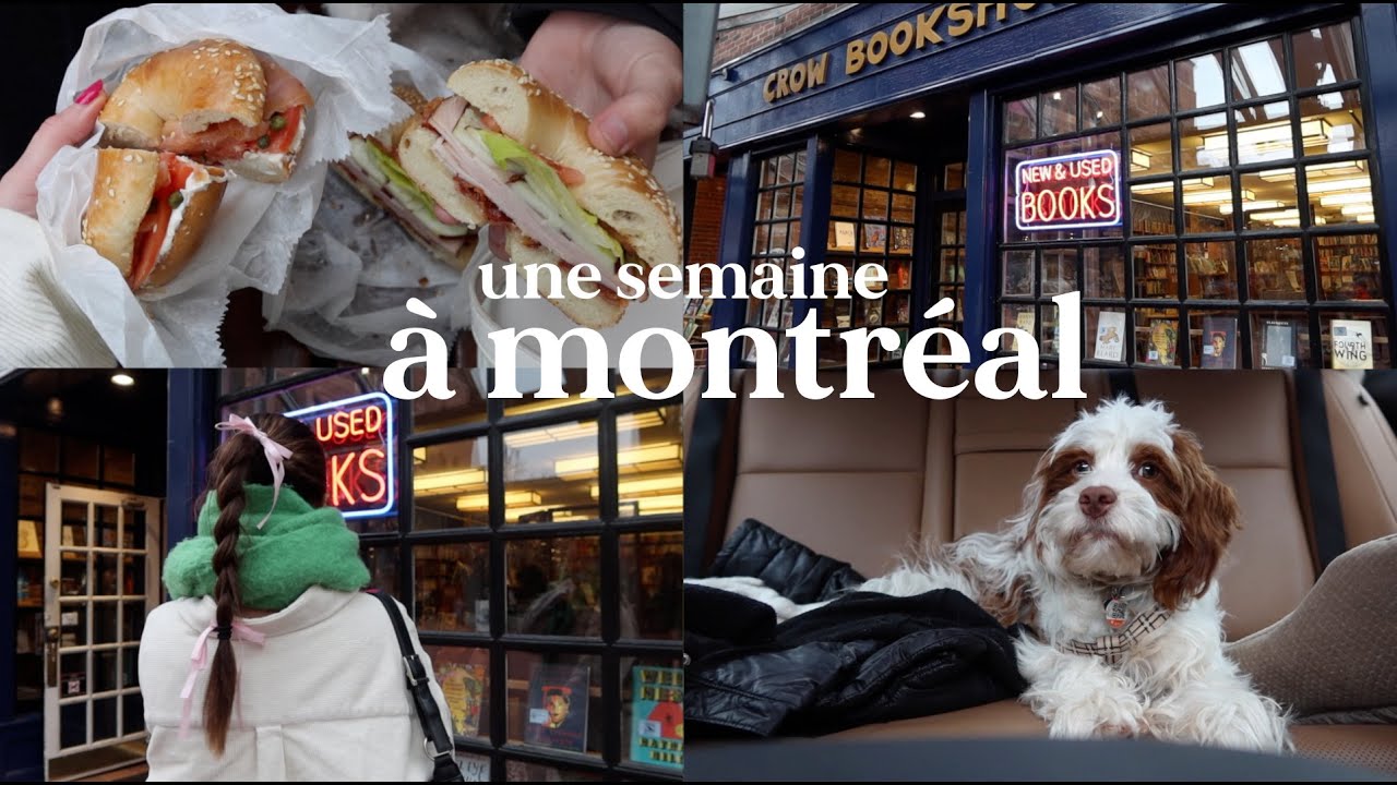 une semaine d'automne à montréal
