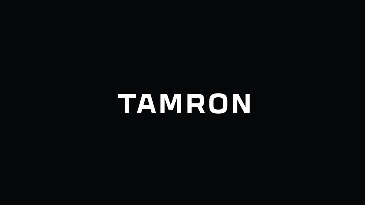 Впечатления и первые кадры на новые объективы Tamron SP 35mm и 85mm Slava Grebenkin